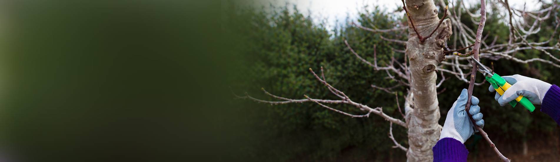 Весенний мастер-класс для садоводов