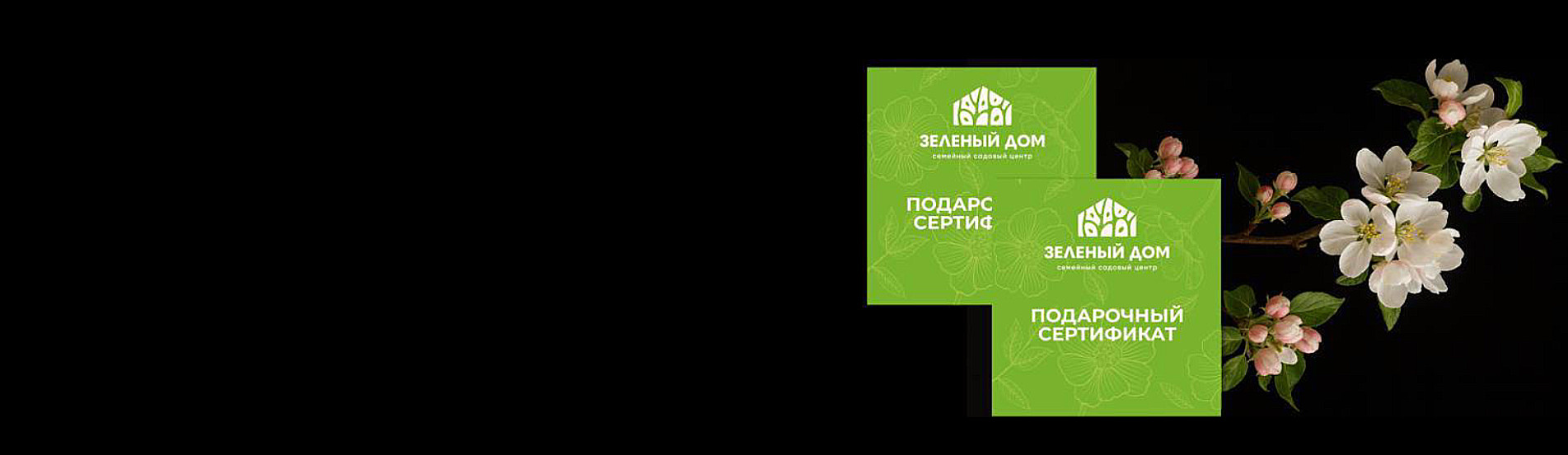 Чёрная пятница