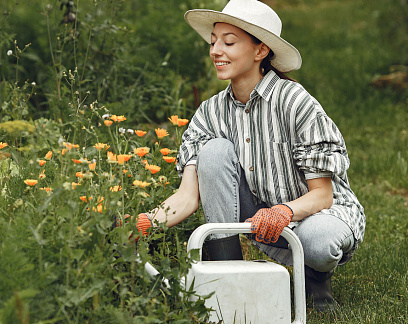 ПРЕДЗАКАЗ растений на весну с выгодой 20%