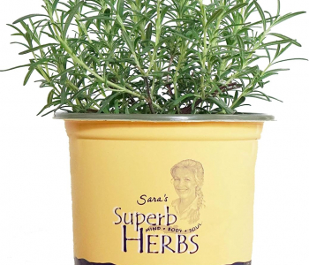 Розмарин Simply Herbs
