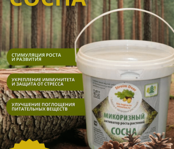 Микоризный активатор роста - сосна