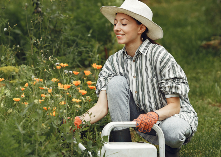 ПРЕДЗАКАЗ растений с выгодой 20%!