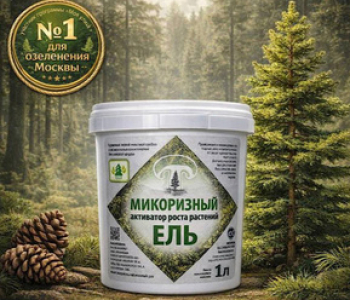 Микоризный активатор роста - ель