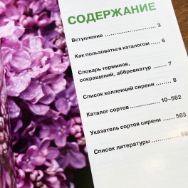 Каталог сортов Сирень
