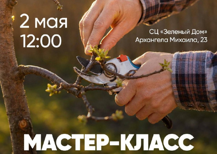 Весенний мастер-класс для садоводов
