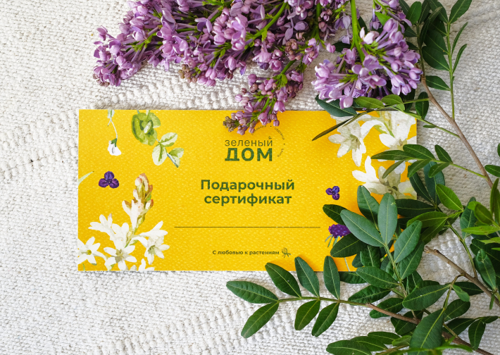 Подарочные сертификаты
