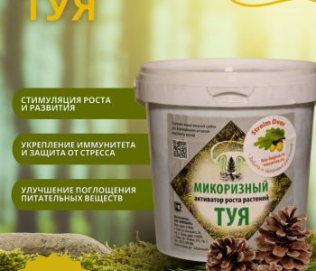 Микоризный активатор роста - туя