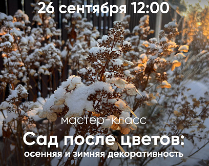 Бесплатный мастер-класс «Сад после цветов: осенняя и зимняя декоративность»