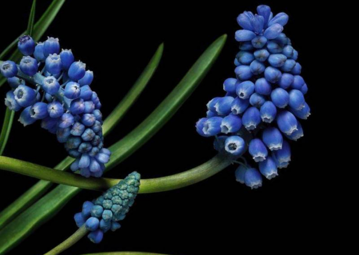 Черная пятница