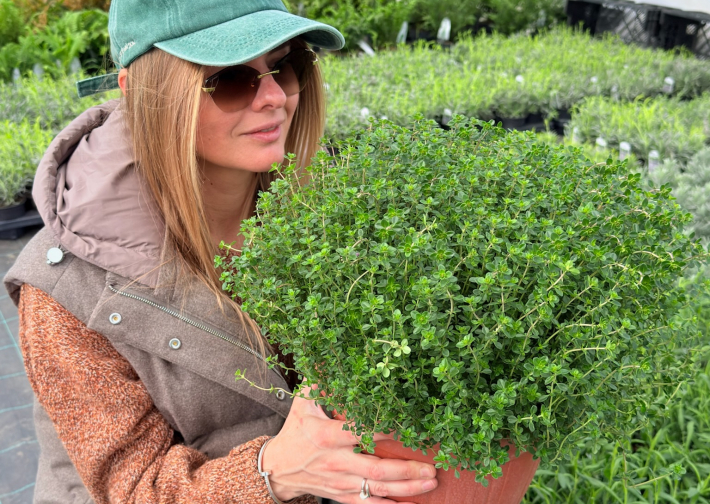 Пряные травы