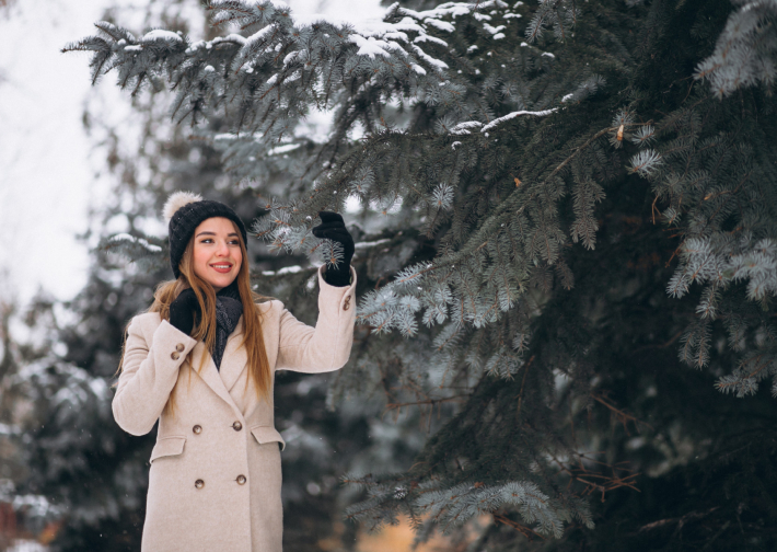 Посадка хвойных крупномеров