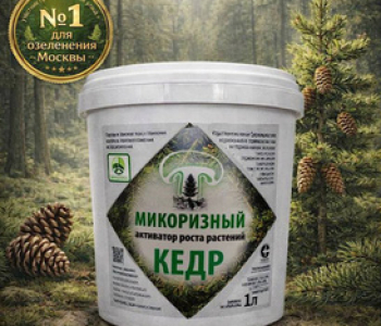 Микоризный активатор роста - кедр