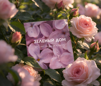 Подарочный сертификат