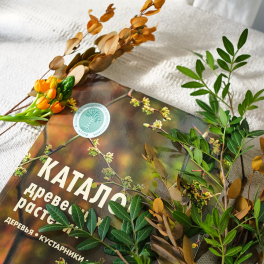 Каталог древесных растений АППМ