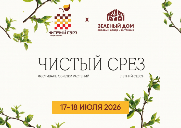 ЧИСТЫЙ СРЕЗ